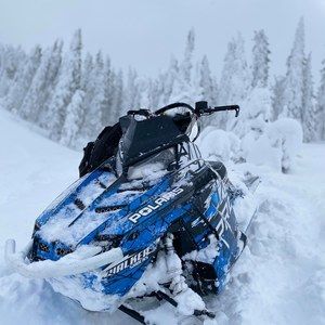 Meet your Posher, Steven